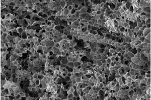 超临界流体制备微发泡聚乳酸基木塑复合材料的方法