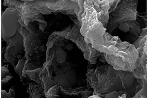 富单质硫的镍钴硫化物与石墨烯的复合材料制备方法