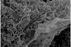 氨基和硫醇基修饰石墨烯/碳纳米管复合材料及制备方法