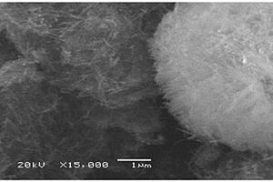 3D海胆球状碳基镍钴双金属氧化物复合材料的制备方法