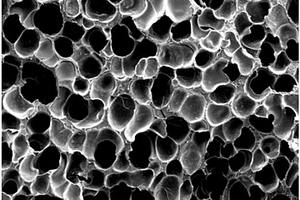 聚合物基导电微孔泡沫复合材料的制备方法