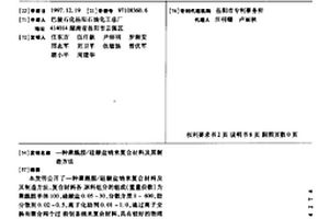 聚酰胺/硅酸盐纳米复合材料及其制造方法