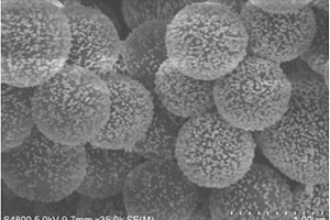 碳球/Au纳米复合材料的制备方法及其应用