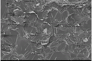 高定向石墨烯增强双马树脂基复合材料的制备方法