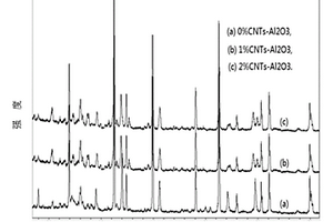 碳纳米管-氧化铝复合材料及其制备方法