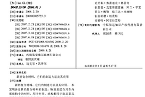 新的复合材料、它们的制造方法及其应用