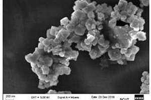 用于污泥脱水的铁硅生物酶磁性复合材料及合成方法