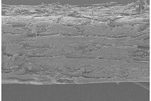 仿贝壳结构的超高含量纤维素增强聚合物复合材料及其制备方法