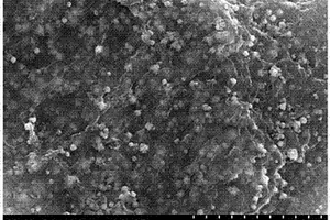 磷酸银纳米球-石墨烯复合材料的制备及光催化应用