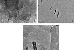 高钙磷无机材料含量的有机无机纳米仿生复合材料的制备方法