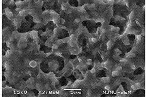 辣根过氧化物酶-凹土纳米复合材料及其制备方法,以及基于所述复合材料的生物传感器