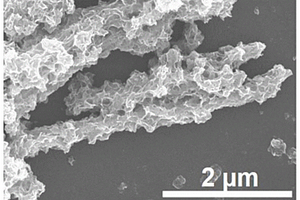 氧化钨纳米棒/锡离子修饰的碳化钛量子点/硫化铟纳米片复合材料及其制备方法与应用