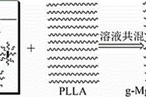 左旋聚乳酸-改性MgO纳米棒复合材料的制备方法