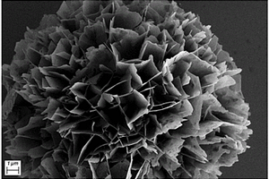 花状纳米复合材料及其制备方法和一种电极材料及其制备方法