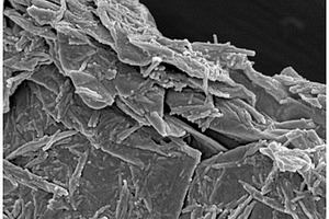 铬掺杂二氧化钛纳米管-氨基修饰氧化石墨烯复合材料及其制备方法与应用