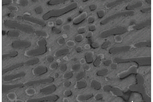 Mo纳米颗粒增强CoCrNi中熵合金复合材料及其制备方法