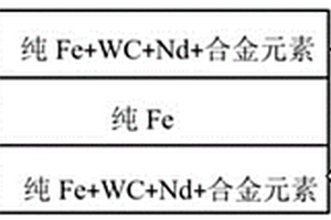 稀土附着碳化钨颗粒增强铁基表层复合材料的制备方法