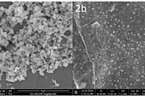 硒化锰/还原氧化石墨烯纳米复合材料制备方法及其应用