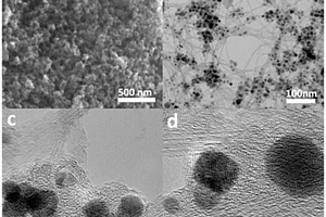 单壁碳纳米管内嵌磁性金属碳洋葱纳米复合材料及其应用