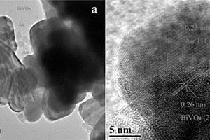 贵金属纳米粒子负载的2D钒酸铋@PDA核壳结构复合材料的制备方法