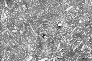 SiC纳米线增强铝基复合材料及其制备方法