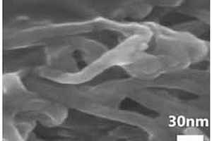 N,N-二烷基取代金属酞菁/碳纳米管复合材料的制备方法