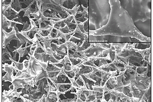 超疏水CMF-TiO<Sub>2</Sub>-PDMS复合材料及其制备方法和应用