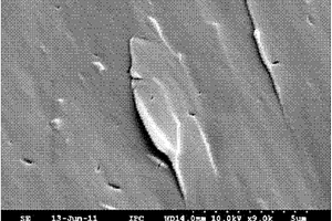 氧化石墨烯/环氧树脂纳米复合材料的制备方法