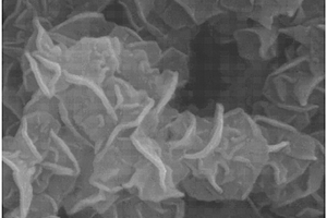 石墨烯和碳纳米管复合材料的制备方法