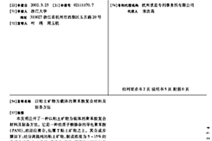 以粘土矿物为载体的聚苯胺复合材料及制备方法