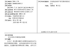 具有天然石外观的复合材料