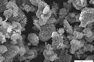 磁性微纳米复合填料/硅橡胶导热复合材料的制备方法