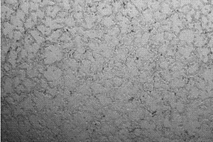 氧化锆改性石墨烯增强镁基复合材料的方法