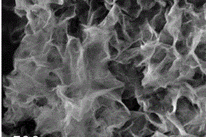 超薄层状NiO-CoOx纳米片负载NiCo纳米粒子复合材料的合成方法