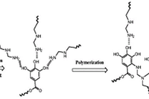 单宁-聚乙烯亚胺复合材料及其用途