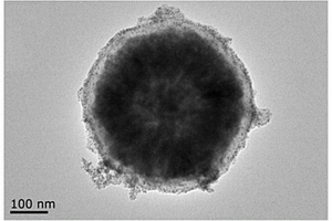 基于生物法的核-壳结构纳米复合材料及其制备方法