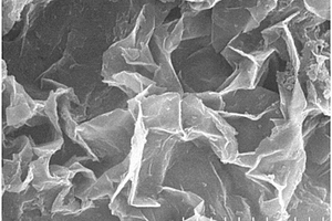 二维氮掺杂碳基二氧化钛复合材料及其制备方法与在降解去除水中有机污染物中的应用