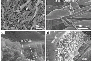 多孔碳纤维/金属氧化物复合材料及石墨烯基导电油墨的制备方法和在超级电容器中的应用