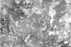 石墨烯/氧化锌核壳结构复合材料的制备方法