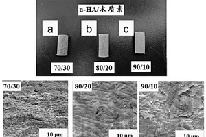 木质素/纳米羟基磷灰石基复合材料及其制备方法