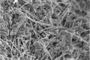 自感知镍纳米纤维水泥基复合材料