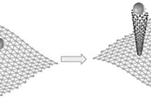 石墨炔-碳纳米管三维复合材料及其制备方法与应用