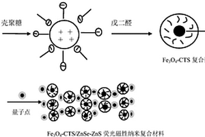 荧光磁性纳米复合材料及其制备方法