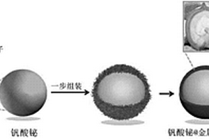利用核桃青皮粗提液制备钒酸铋@金属-多酚配合物核壳结构复合材料的制备方法