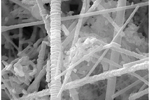 高强度SiC纳米线增强铝基复合材料的制备方法