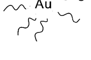 用于生物传感器的新型Au/Ag核-壳复合材料