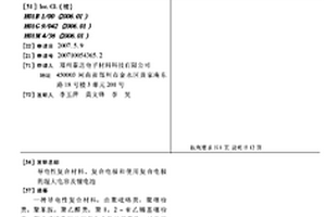 导电性复合材料、复合电极和使用复合电极的超大电容及锂电池