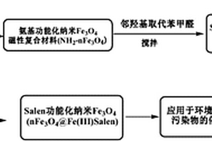 Fe(III)‑Salen功能化纳米Fe3O4 复合材料、制备方法及其应用