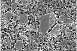 碳化硅纳米线混杂增强钨酸锆/铝复合材料及其制备方法