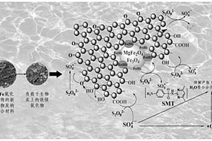 Mg/Fe氧化物修饰的生物炭纳米复合材料及其制备方法